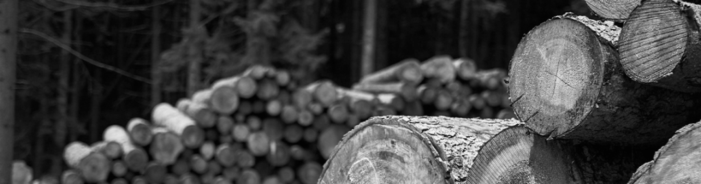 UK - HMRC-Änderungen bei der Zulassung von Vertretern für die Mehrwertsteuer